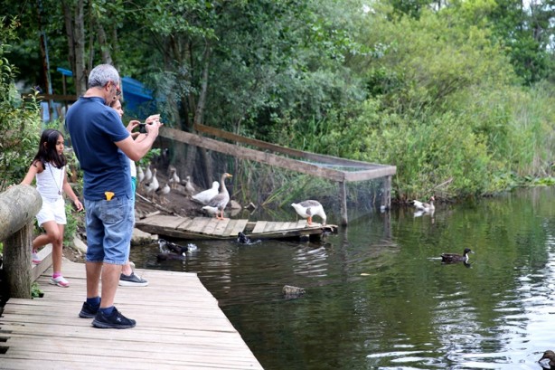 Foto - Acarlar Longozu beyaz nilüferleriyle ziyaretçilerini büyülüyor