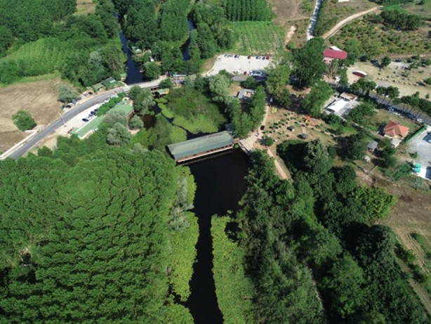 Foto - Acarlar Longozu beyaz nilüferleriyle ziyaretçilerini büyülüyor