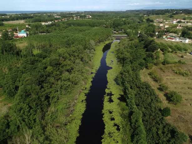 Foto - Acarlar Longozu beyaz nilüferleriyle ziyaretçilerini büyülüyor