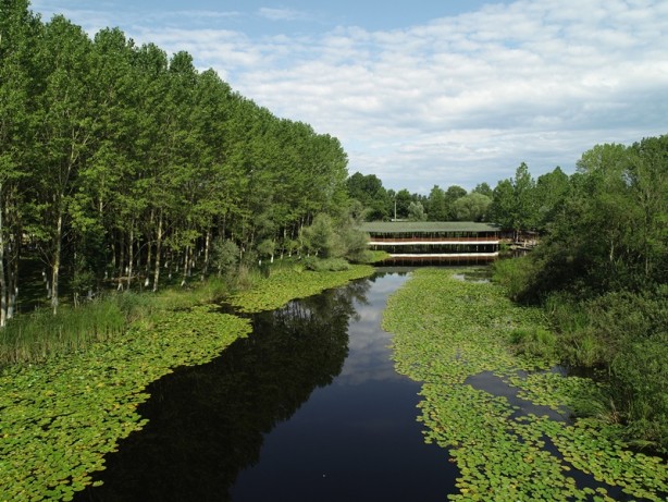 Foto - Acarlar Longozu beyaz nilüferleriyle ziyaretçilerini büyülüyor