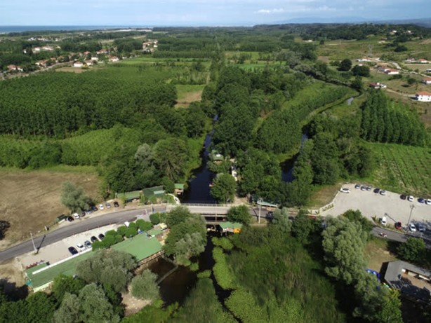 Foto - Acarlar Longozu beyaz nilüferleriyle ziyaretçilerini büyülüyor