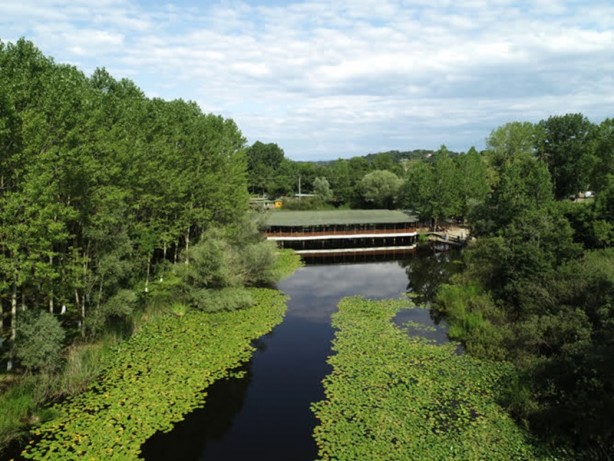 Foto - Acarlar Longozu beyaz nilüferleriyle ziyaretçilerini büyülüyor