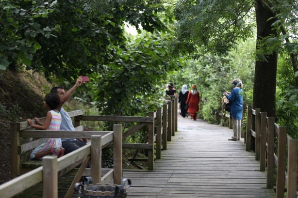 Foto - Acarlar Longozu beyaz nilüferleriyle ziyaretçilerini büyülüyor