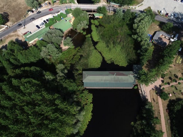 Foto - Acarlar Longozu beyaz nilüferleriyle ziyaretçilerini büyülüyor