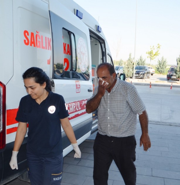 Foto - 'Acemi kasaplar' hastanelik oldu