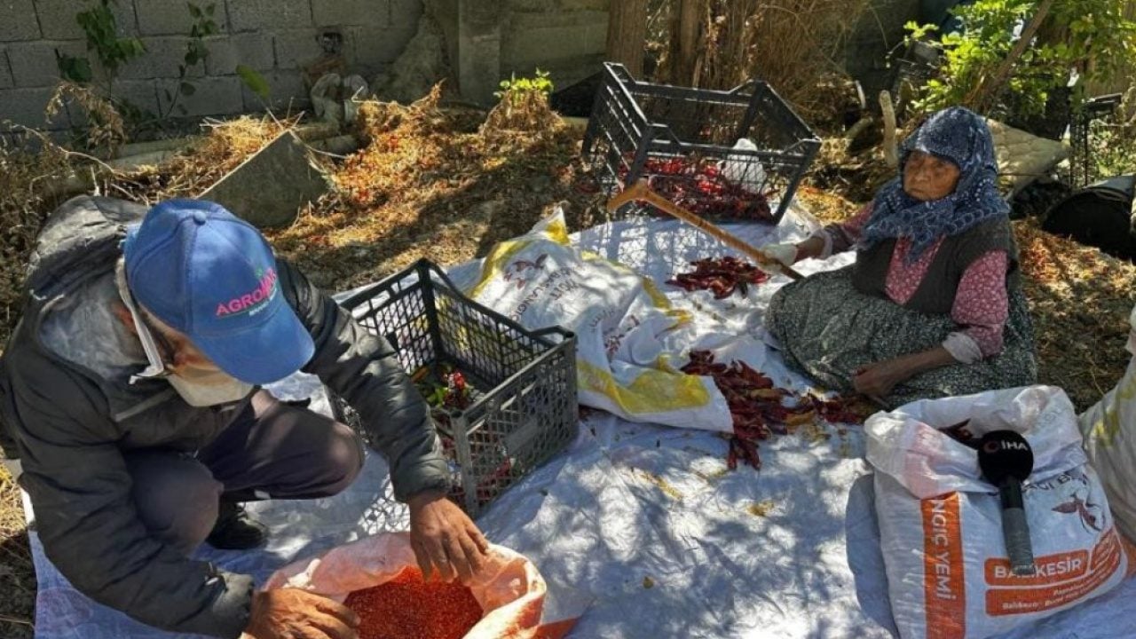 Acı biber bile evlat sevgisinin yanında tatlı kaldı! 90 yaşındaki annenin yürek ısıtan hikayesi