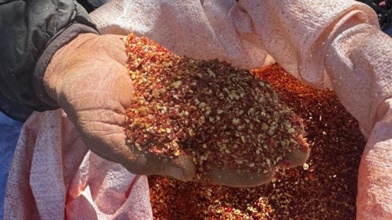 Foto - Acı biber bile evlat sevgisinin yanında tatlı kaldı! 90 yaşındaki annenin yürek ısıtan hikayesi