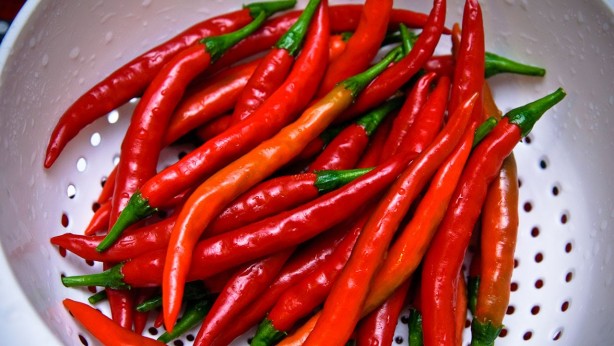 Foto - Acı biber düzenli tüketildiğinde sağlığa önemli katkılar sağlıyor.