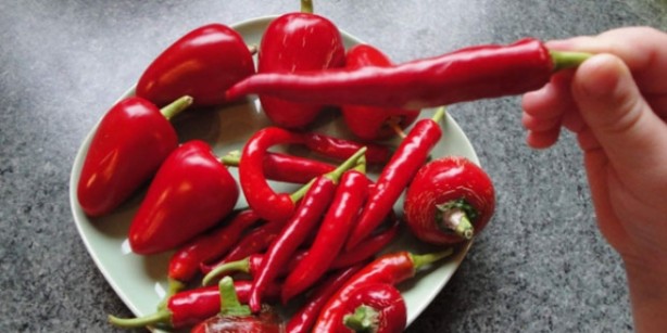 Foto - Acı biber düzenli tüketildiğinde sağlığa önemli katkılar sağlıyor.