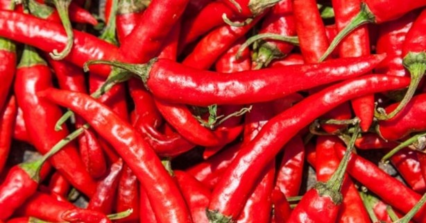 Foto - Acı biber düzenli tüketildiğinde sağlığa önemli katkılar sağlıyor.