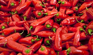 Foto - Acı biber düzenli tüketildiğinde sağlığa önemli katkılar sağlıyor.