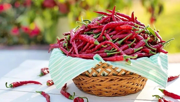 Foto - Acı biberin faydaları, baş ağrısına iyi gelen besinler! Mutluluk hormonu sağlayan yiyecekler! Listede bakın neler var