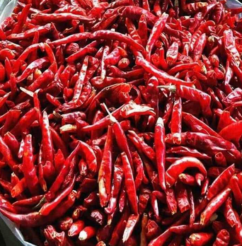 Foto - Acı biberin faydaları, baş ağrısına iyi gelen besinler! Mutluluk hormonu sağlayan yiyecekler! Listede bakın neler var