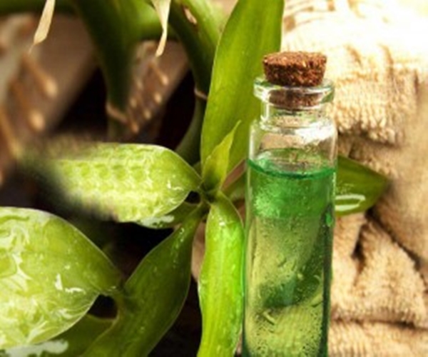 Foto - Acı elma yağı sivilceleri önlüyor!