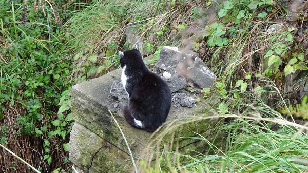 Foto - Açık hava müzesi olacaktı! İşte son hali
