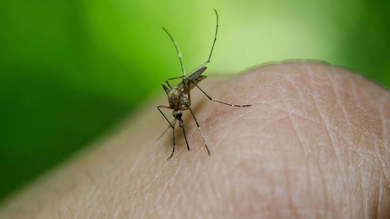 Foto - Açık havanın bedeli ağır olmasın! Çocuklarınızın sağlığı için bunları ihmal etmeyin