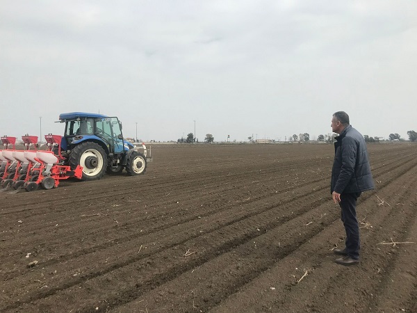 Foto - Acılarını unutup çalışmaya başladılar