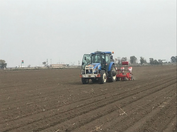 Acılarını unutup çalışmaya başladılar