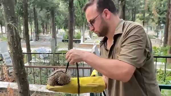 Foto - Acımasızlığın böylesi! Ölüme terk ettiler