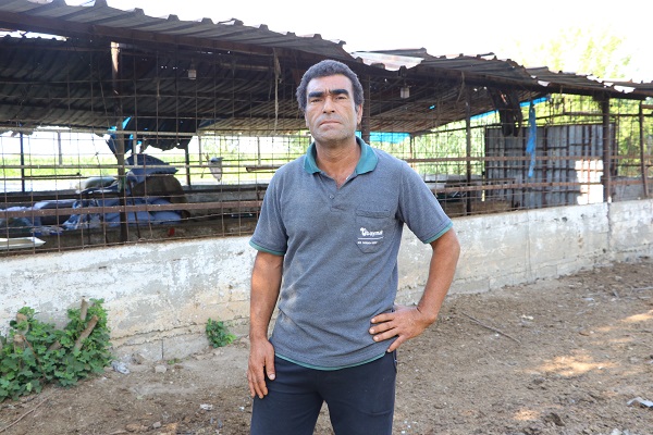 Foto - Acısını anlatmak çok zor! Hepsi telef oldu