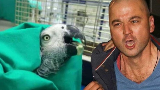 Foto - MasterChef'te bilinçaltına satanist ve masonik gönderme!