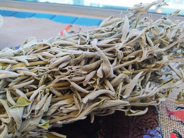 Adaçayı yakmanın 9 şifası