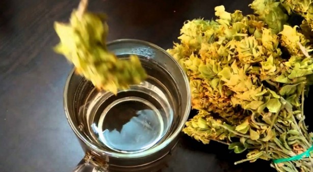 Foto - Adaçayı yakmanın 9 şifası