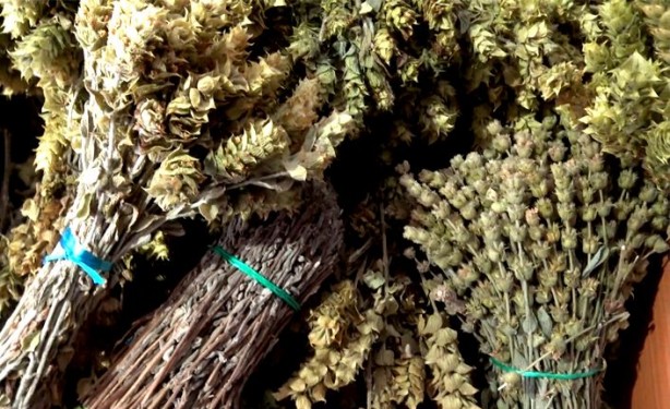 Foto - Adaçayı yakmanın 9 şifası