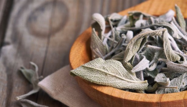 Foto - Adaçayı yakmanın 9 şifası