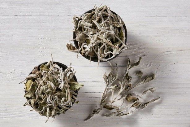 Foto - Adaçayı yakmanın 9 şifası