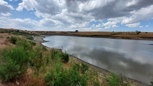 Foto - Adacıklar oluştu! Göletin içler acısı hali
