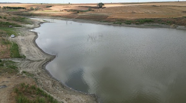 Foto - Adacıklar oluştu! Göletin içler acısı hali
