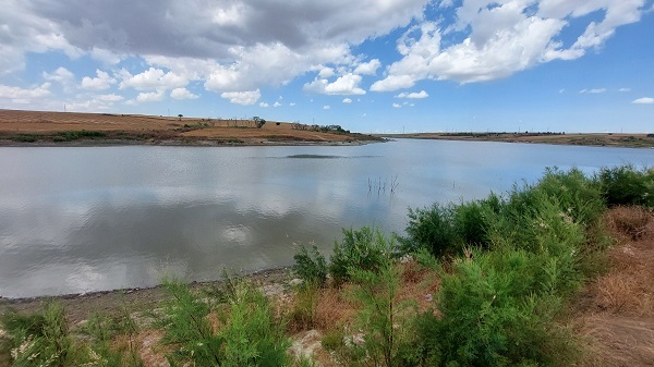 Foto - Adacıklar oluştu! Göletin içler acısı hali