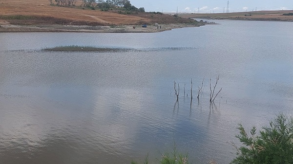 Foto - Adacıklar oluştu! Göletin içler acısı hali