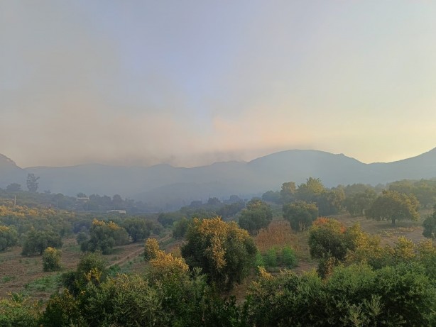 Adana Kozan'da orman yangını