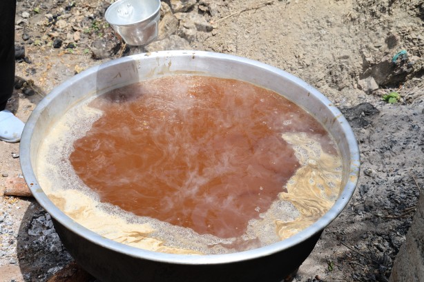 Foto - Adana sıcağında dutun şifalı yolculuğu başladı