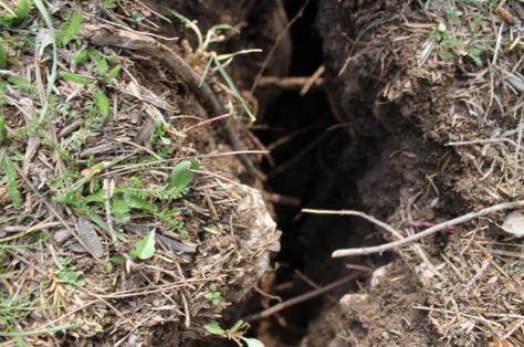 Foto - Adana'da büyük korku! Karların erimesiyle ortaya çıktı