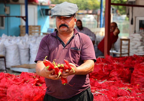 Foto - Adana'da çatılar kızardı