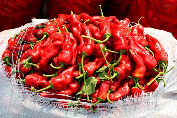 Foto - Adana'da çatılar kızardı