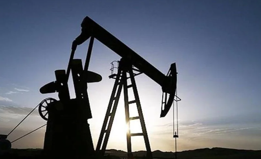 Foto - Adana'da çıkarılan petrolle ilgili flaş karar! 20 yıl süreyle oraya verildi