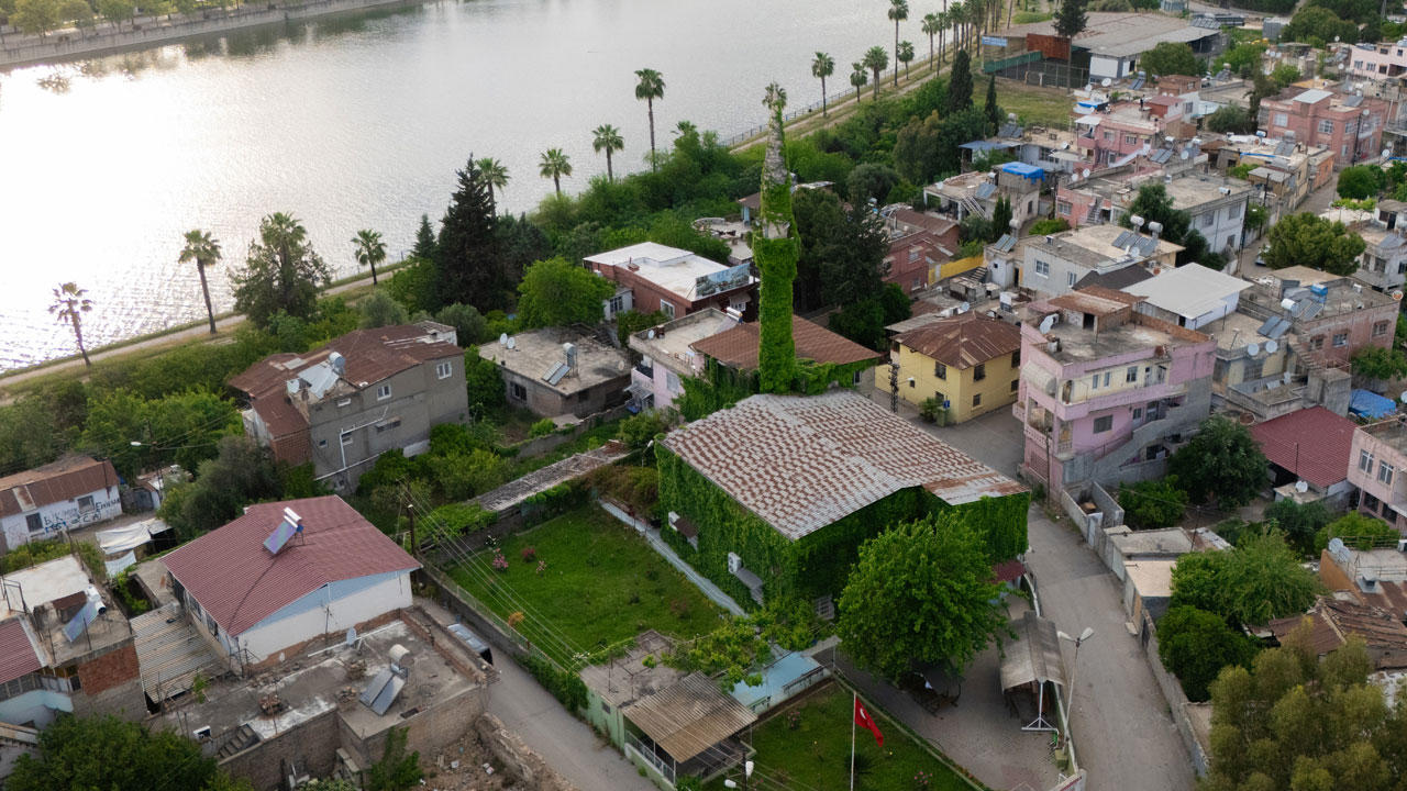 Foto - Adana'da efsaneleşen manzara! Sarmaşıkların sardığı cami görenleri büyülüyor