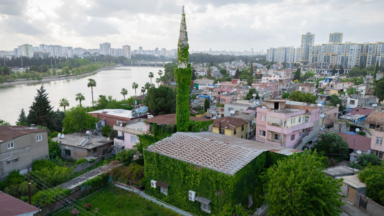 Adana'da efsaneleşen manzara! Sarmaşıkların sardığı cami görenleri büyülüyor