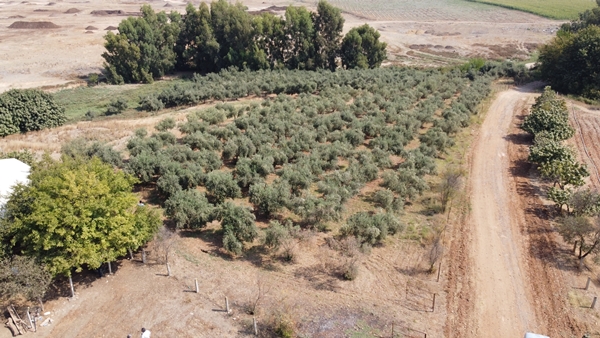 Foto - Adana'da ilginç olay! Sahibi yolu kapatınca mahalleli kapıda kaldı
