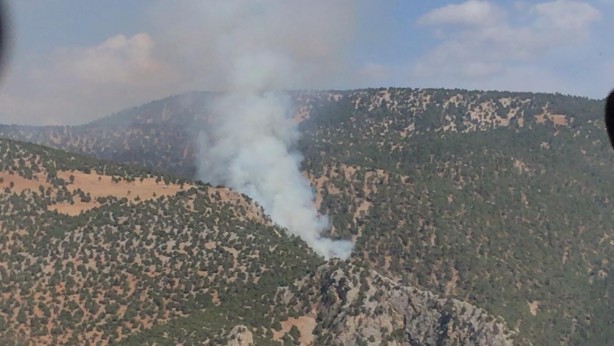 Foto - Adana'da orman yangını