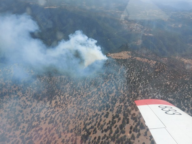 Foto - Adana'da orman yangını