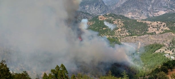 Adana'da orman yangını ile mücadele sürüyor!