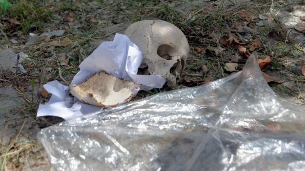 Adana’da tüyleri diken diken olay! Çöpten kağıda sarılı insan kafatası çıktı