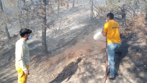 Adana'da yürekleri ağza getiren orman yangını!