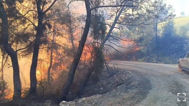Foto - Adana’daki orman yangınında 10 ev tedbir amaçlı tahliye edildi