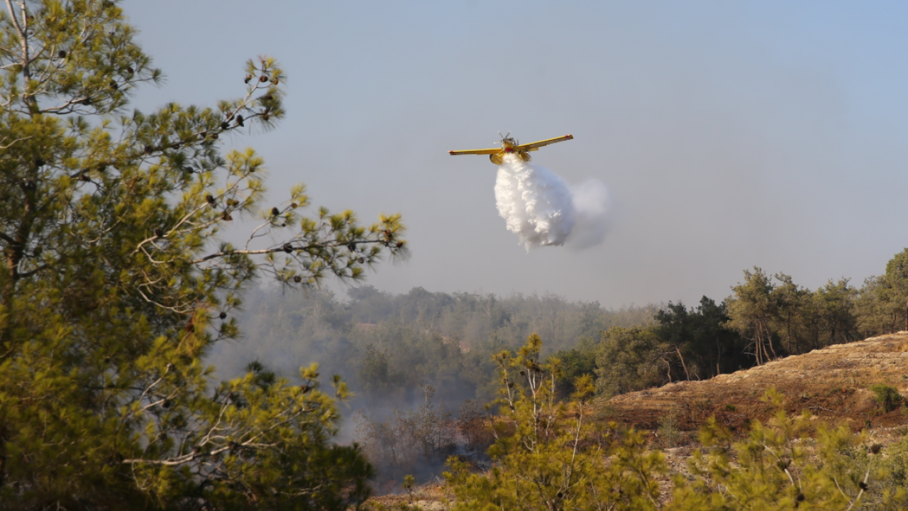 Foto - Adana'dan yüreklere su serpen haber